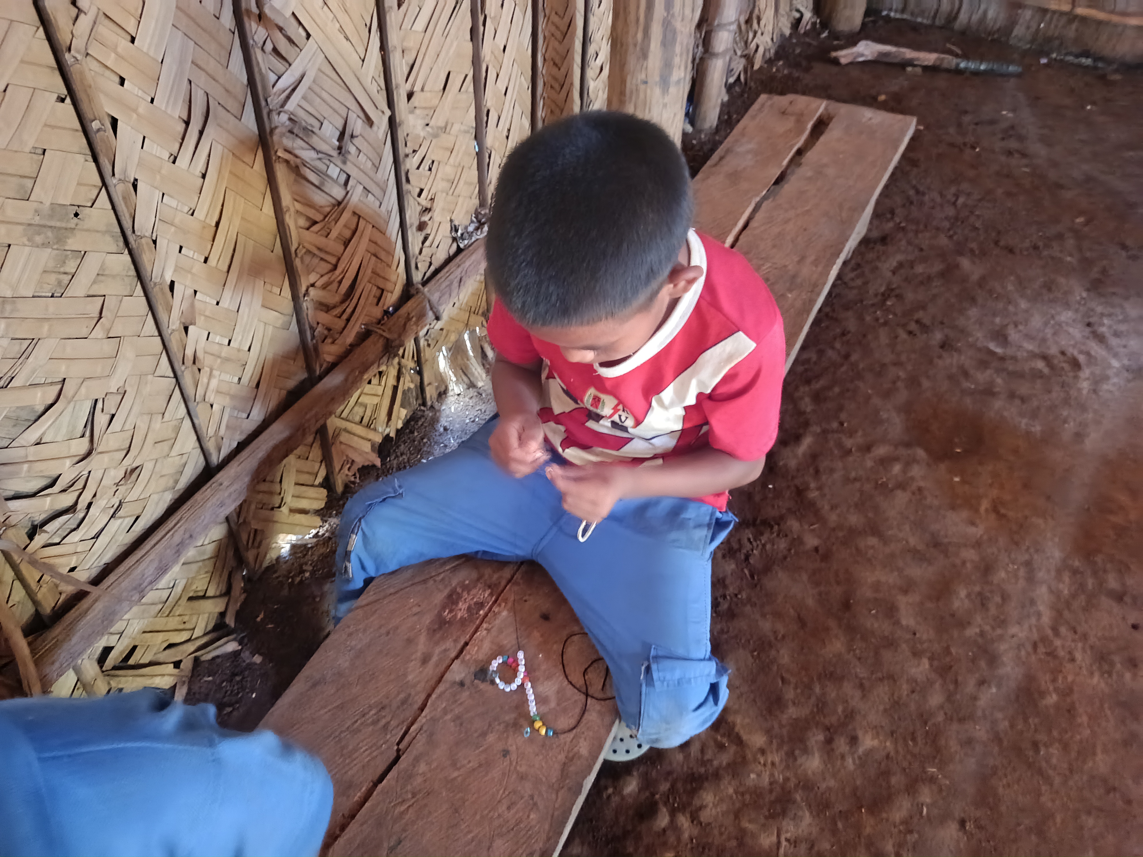Fotografía Amazonas