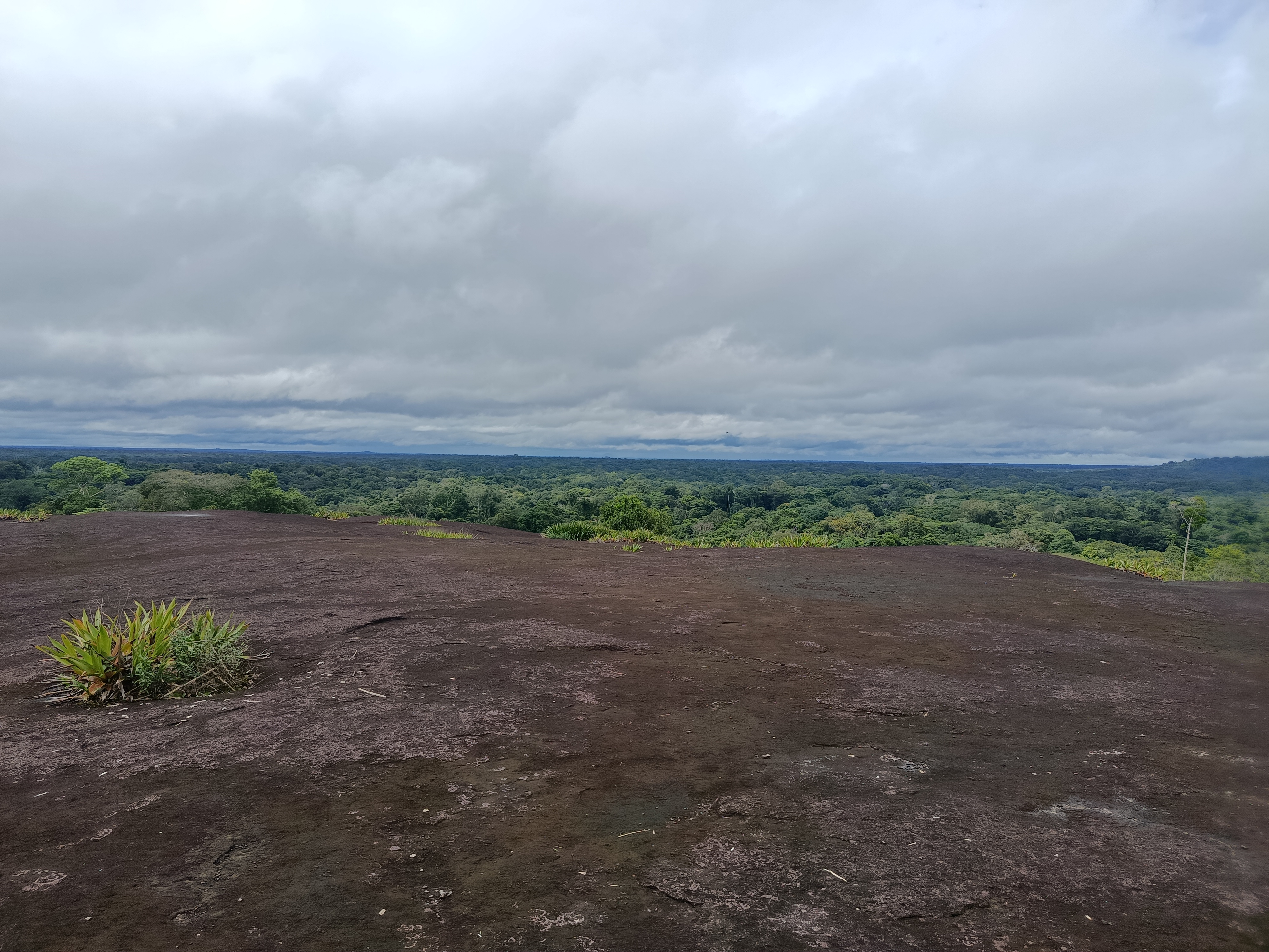Fotografía Amazonas
