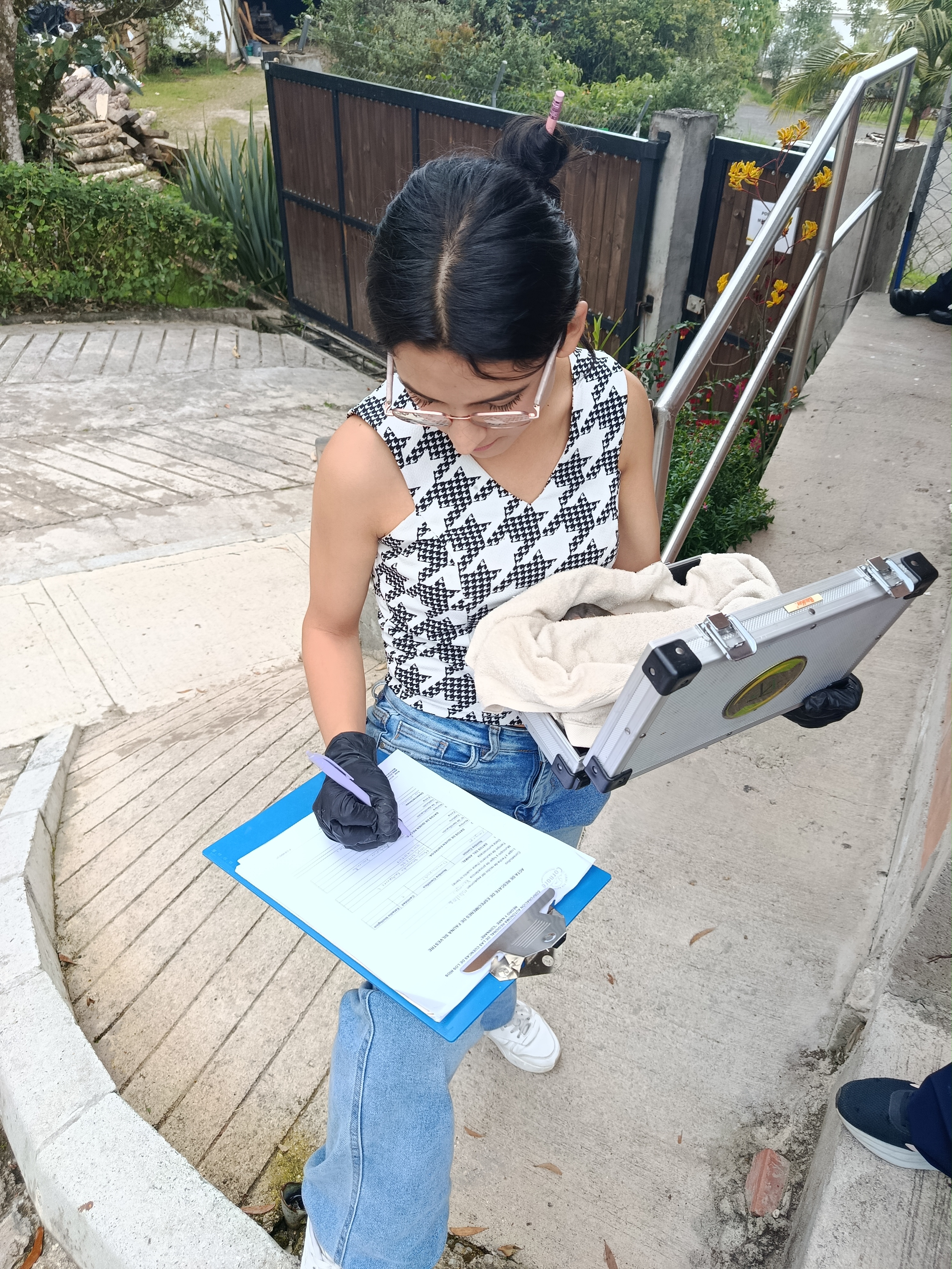 Fotografía Colectivos